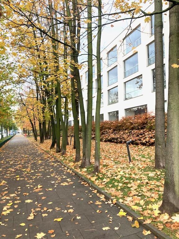 Apartment Novum Rakowicka Street Krakov Exteriér fotografie